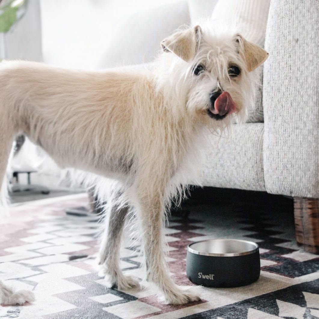 Pet Bowl | 16oz Pink Topaz