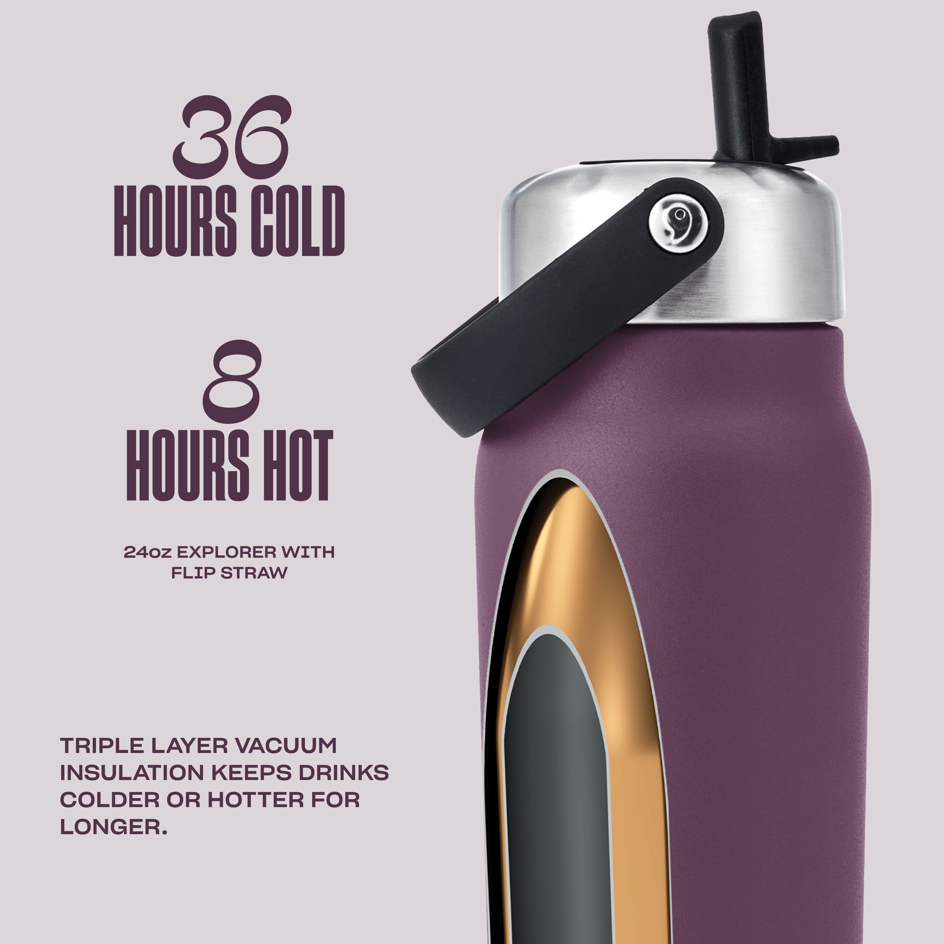 24oz Plum